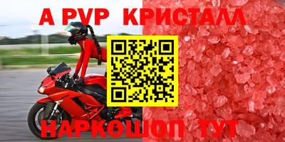 альфа пвп Аргун
